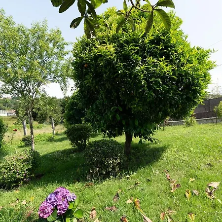 Holiday home A Casa De Bel Nigran