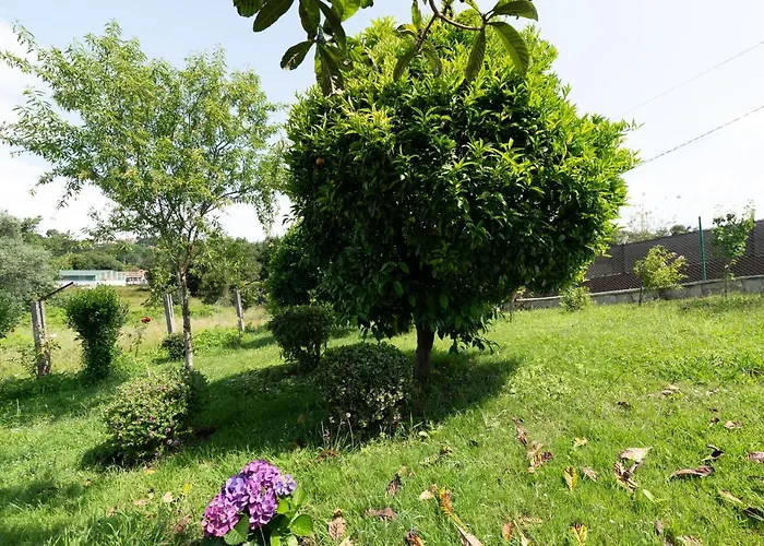 Tatil Evi A Casa De Bel Nigrán